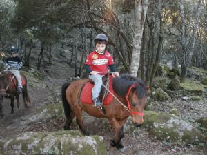 Carte mensuelle de Baptême à Poney